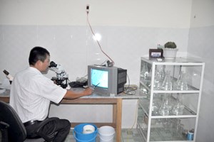 Đọc kết quả bệnh trên Tivi