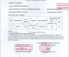 Kết quả xét nghiệm tôm về cho khách