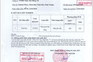 Kết quả xét nghiệm tôm về cho khách