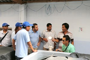 Khách hàng tham quan