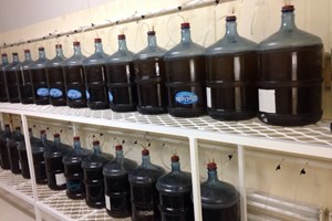 Phòng nuôi tạo gốc và luôn trùng