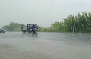 Miền Tây có 'mưa vàng' giải nhiệt