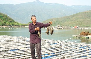 Bà Rịa - Vũng Tàu: Phát triển du lịch kết hợp kinh tế thủy sản