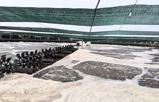 Cách nào giải quyết NO2 tối ưu tới thời điểm hiện tại