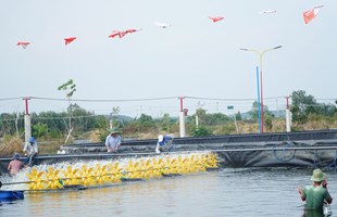 Chủ động bảo vệ thủy sản nuôi trong mùa nắng nóng
