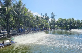 Đưa công nghệ giúp nuôi tôm bền vững vùng duyên hải miền Trung