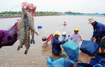 Đừng để thua vì lựa chọn sai
