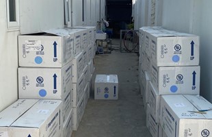 HÙNG TÚ NHẬP LÔ TÔM BỐ MẸ MỚI