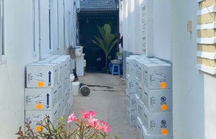 HÙNG TÚ NHẬP LÔ TÔM BỐ MẸ MỚI 25.04.2025
