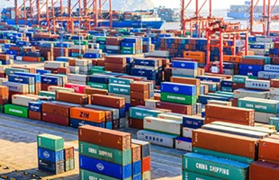 Ít nhất 1.000 container tôm Ấn Độ mắc kẹt ở cảng Trung Quốc