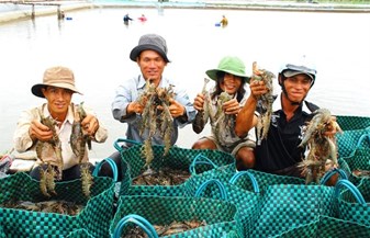 Kỳ vọng cuối năm