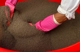 Làm sao để lựa chọn thức ăn phù hợp cho từng giai đoạn nuôi?