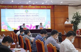 Nhiều bất cập, xuất khẩu tôm khó cán mốc 10 tỷ USD vào năm 2025?