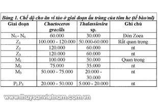 Nhu cầu dinh dưỡng của tôm bố mẹ và ấu trùng