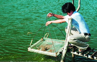 Những nỗi lo thường trực