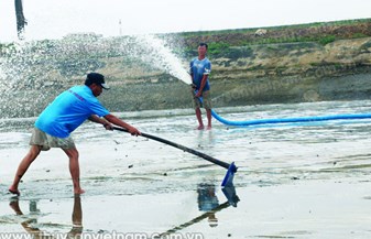 Quản lý bùn đáy trong ao tôm