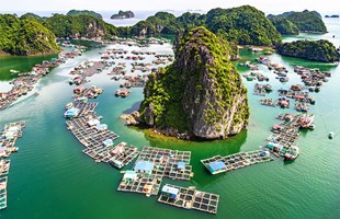 Quảng Ninh: Cấp bách hỗ trợ tiêu thụ hải sản
