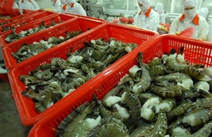Tăng cường xúc tiến thương mại thủy sản