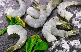 Tôm nõn - Thực phẩm giàu dinh dưỡng