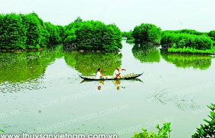 Tôm - rừng và mục tiêu tăng trưởng xanh