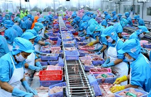Xuất khẩu thủy sản năm 2022 - kỳ vọng vượt kế hoạch