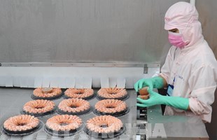 Xuất khẩu tôm Việt Nam vẫn có nhiều cơ hội giữa vòng xoáy lạm phát toàn cầu